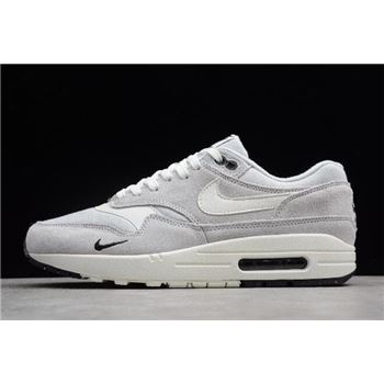 Nike Air Max 1 Mini Swoosh Pure Platinum/Sail-Black-White 875844-006