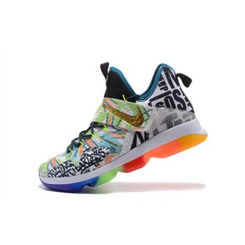 Nike LeBron 14 Colorful Men's Basketball Shoes